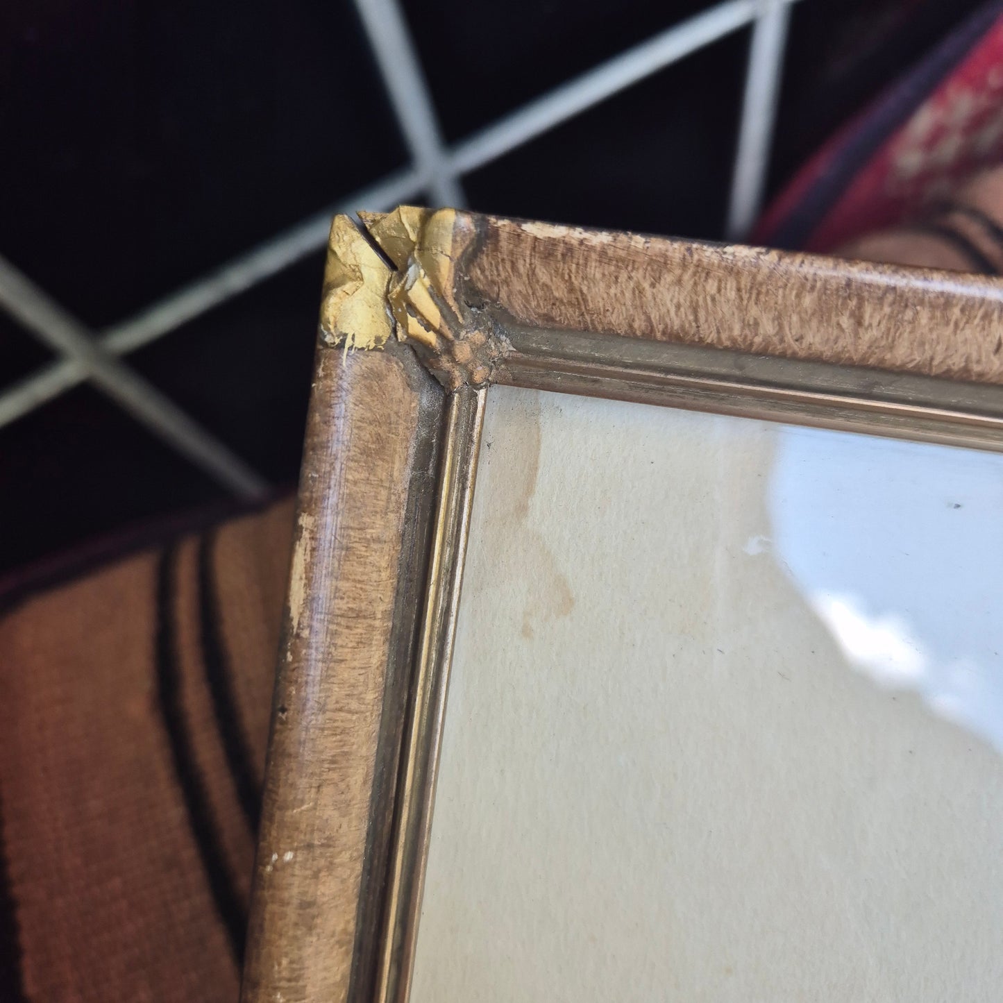 Antike Hundezeichnung von 1949 - Gerahmt hinter Glas nach Meyer Eberhardt Dackel Welpen