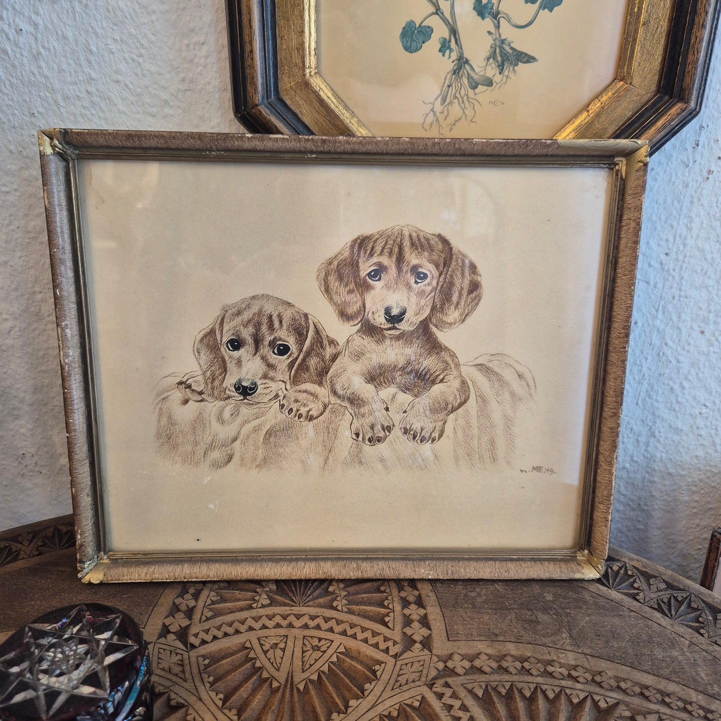 Antike Hundezeichnung von 1949 - Gerahmt hinter Glas nach Meyer Eberhardt Dackel Welpen