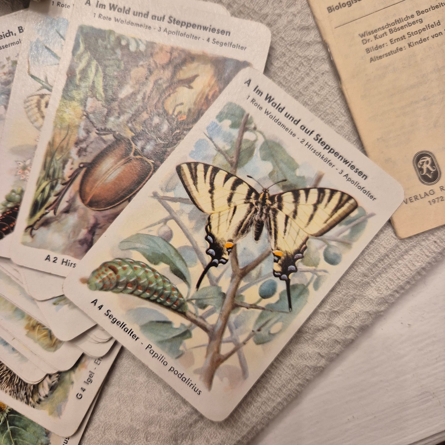 Vintage Karten Spiel Geschützte Tiere Naturschutz-Lehrquartett 70er Jahre vollständig!