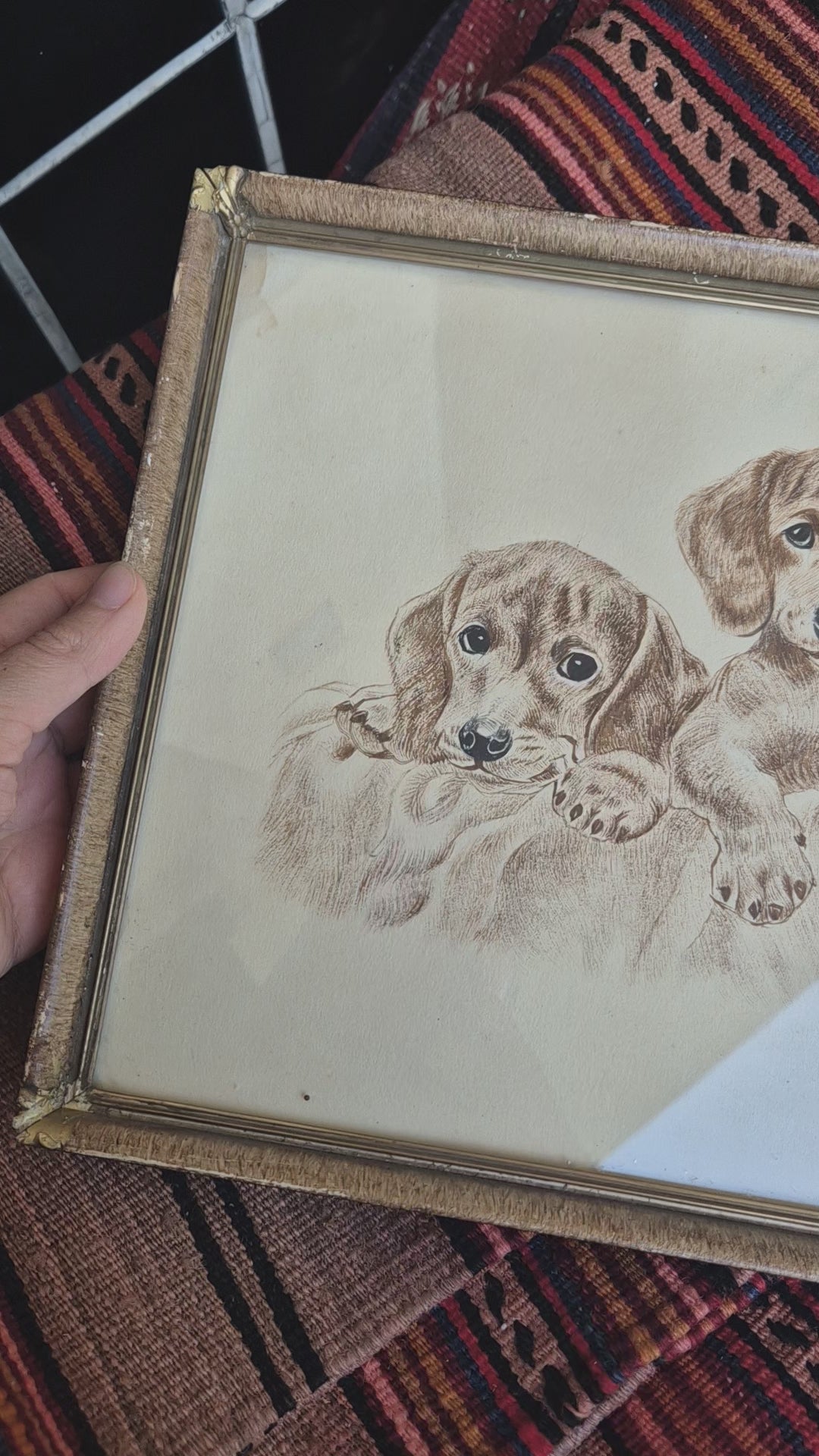 Antike Hundezeichnung von 1949 - Gerahmt hinter Glas nach Meyer Eberhardt Dackel Welpen