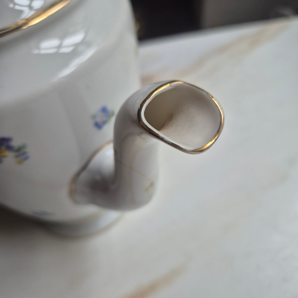 Antike Rosenthal Empire Porzellan Kaffeekanne Teekanne Blumenmuster (Geklebt)