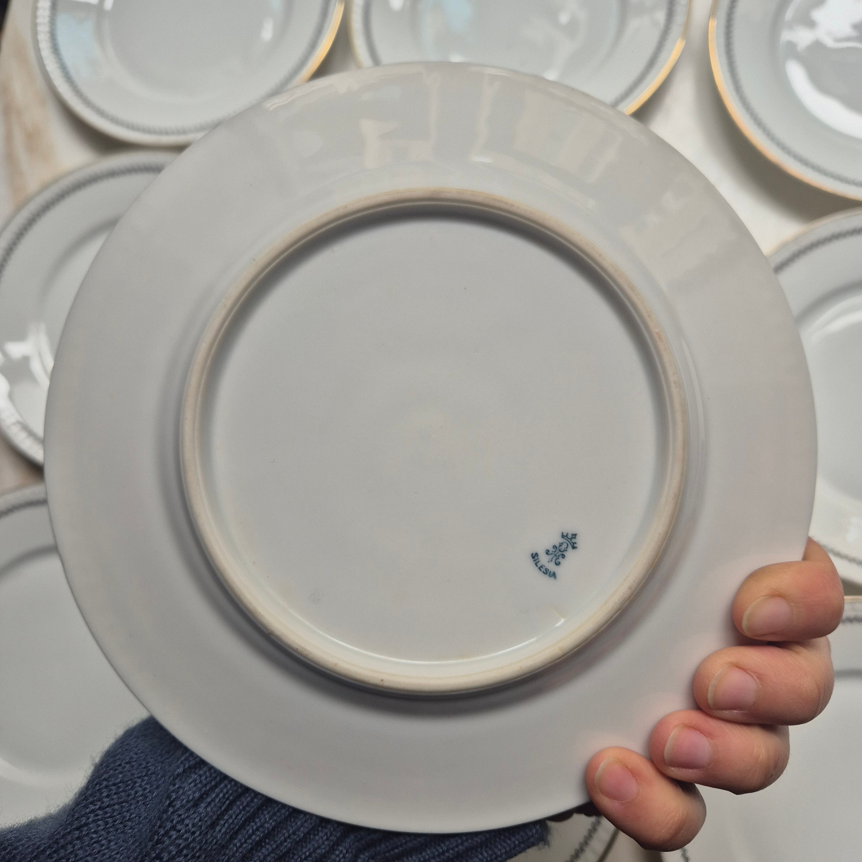 9x Vintage Kuchenteller - Frühstücksteller -  Silesia Porzellan