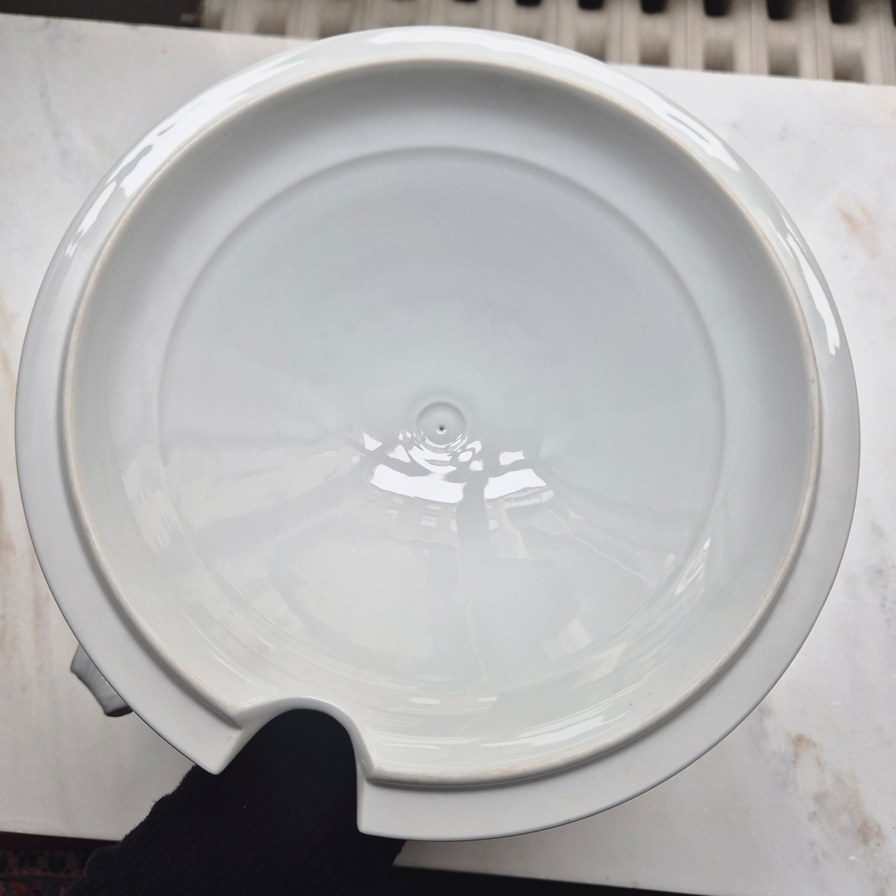 Antike große Rosenthal Empire Terrine Suppenterrine Schüssel mit Deckel Blumenmalerei Porzellan