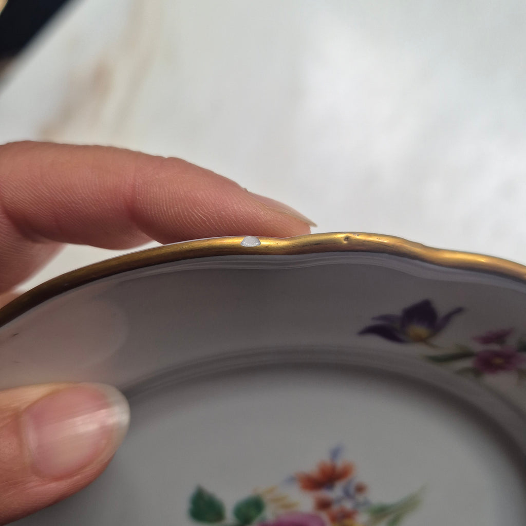 9x Antike Bavaria Porzellan Kuchenteller mit Blumenmotiv Goldrand