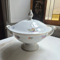 Antike Rosenthal Bavaria Empire Terrine Suppenterrine Schüssel Blumenmalerei Porzellan