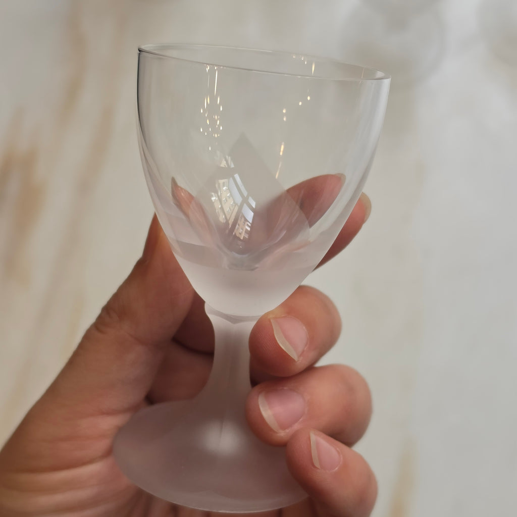 6x elegante, kleine satinierte Likörgläser - Schnapsgläser
