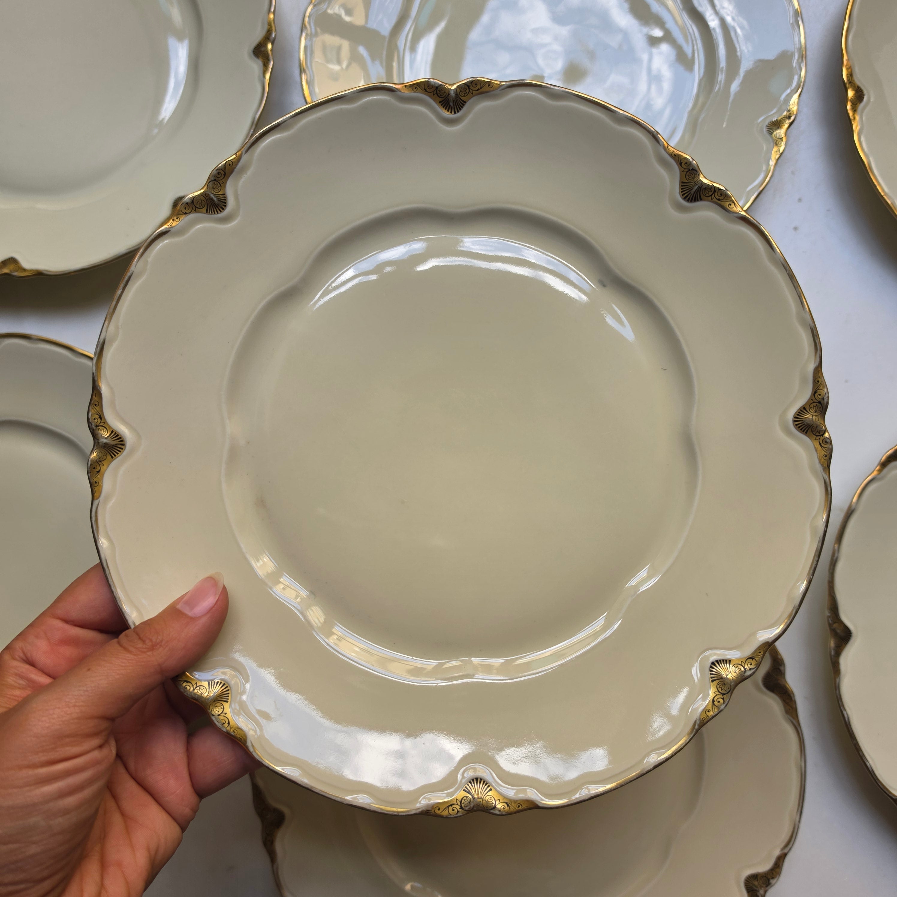 Antike Schönwald Porzellan-Essteller mit Goldrand & Muschelrelief (9er-Set) – Elfenbein/Creme (Kopie)