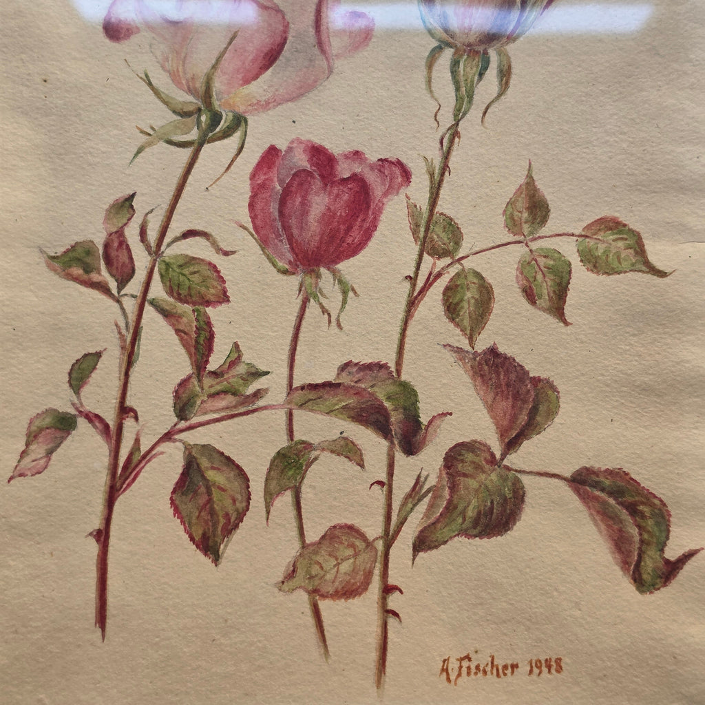 Vintage Rosen-Aquarell „A. Fischer“ (1948) im Goldrahmen