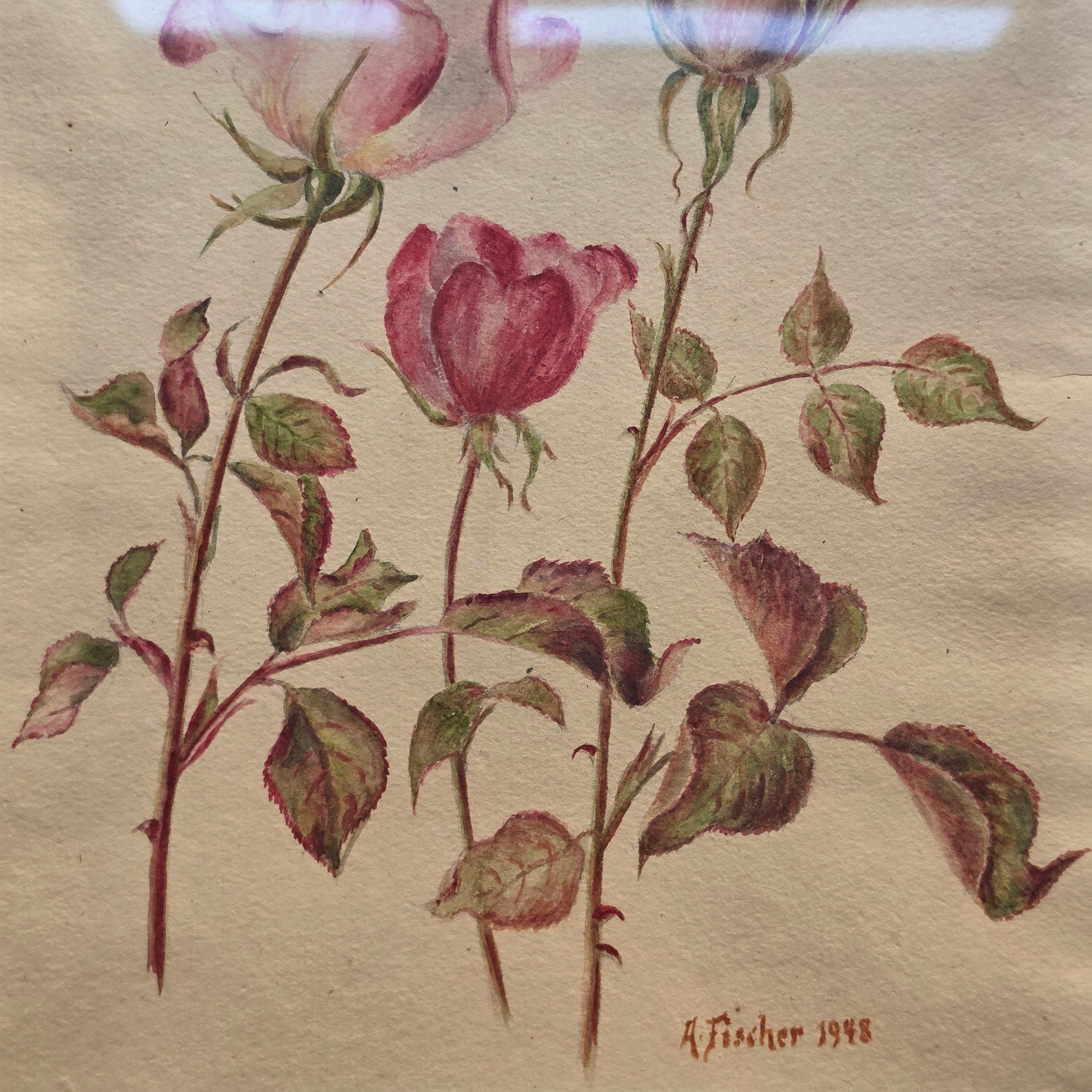 Vintage Rosen-Aquarell „A. Fischer“ (1948) im Goldrahmen
