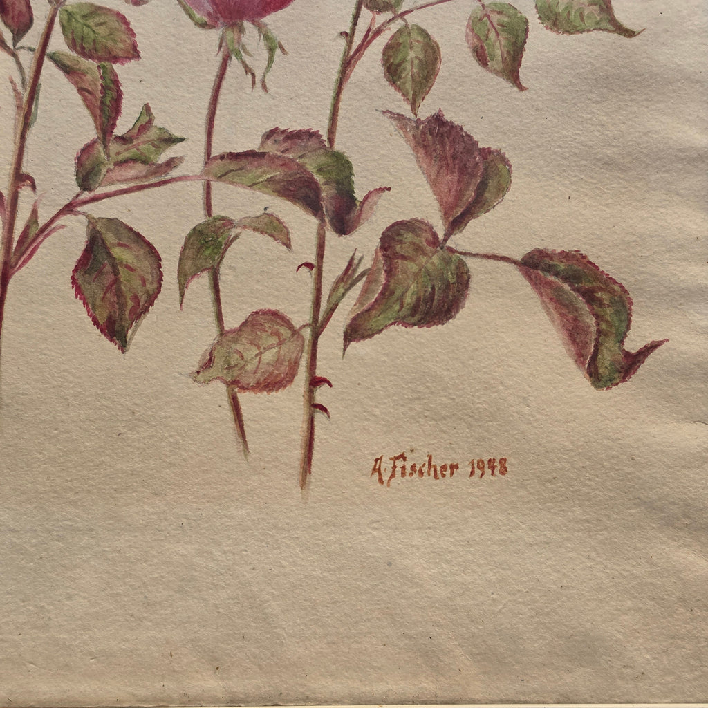 Vintage Rosen-Aquarell „A. Fischer“ (1948) im Goldrahmen