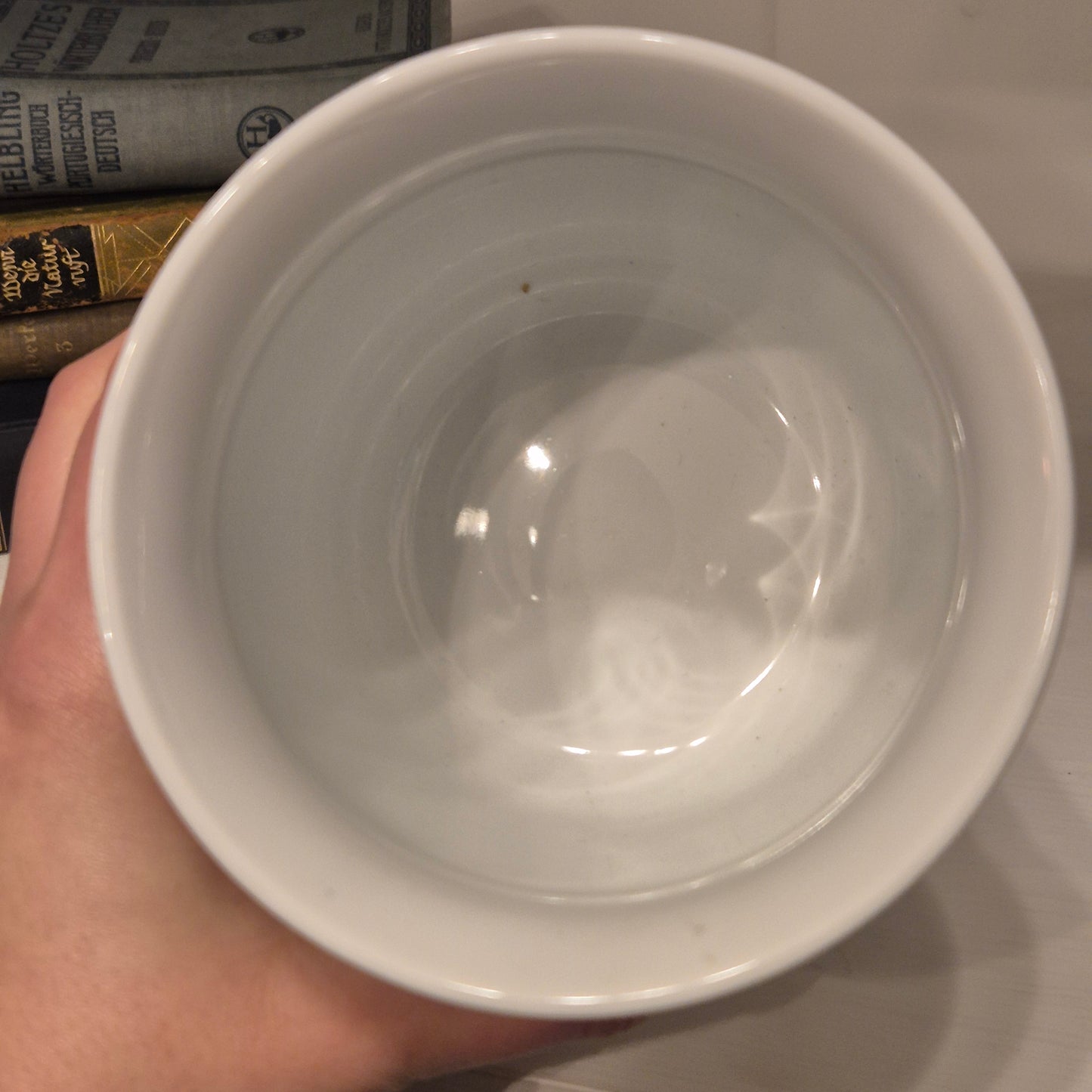 Vintage Übertopf Topf Gefäß für Tischreste Triptis Porellan Zweibelmuster