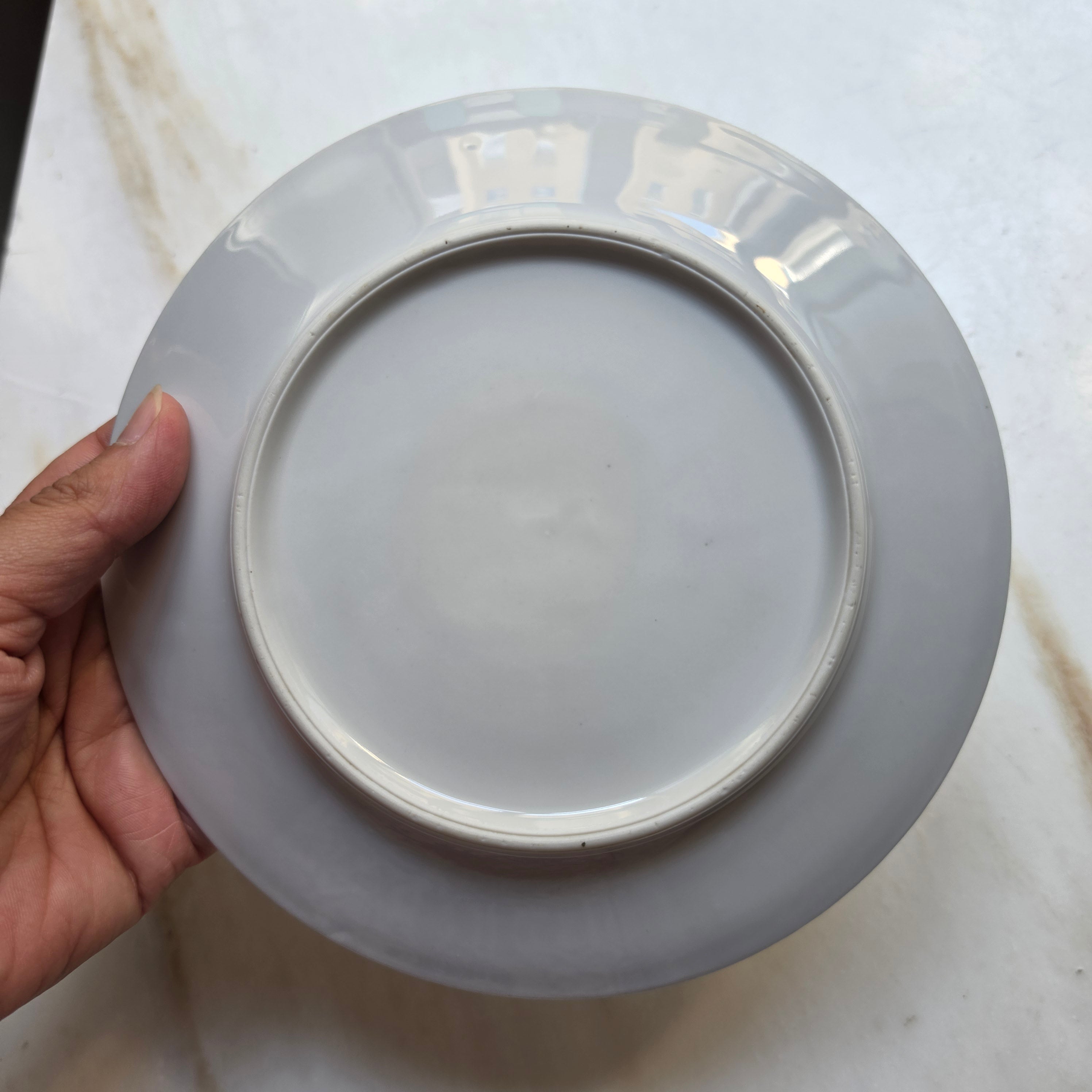Klassischer Porzellanteller mit Strohmuster / Zwiebelmuster-Dekor – Blau-Weiß Fine China