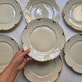 Antike Schönwald Porzellan-Essteller mit Goldrand & Muschelrelief (9er-Set) – Elfenbein/Creme (Kopie)