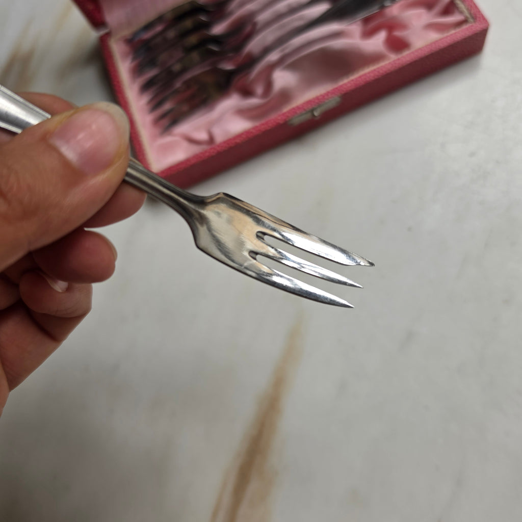 Vintage Kuchengabeln Set (6-teilig) in rosa Schatulle – Klassisches Dessertbesteck aus Edelstahl