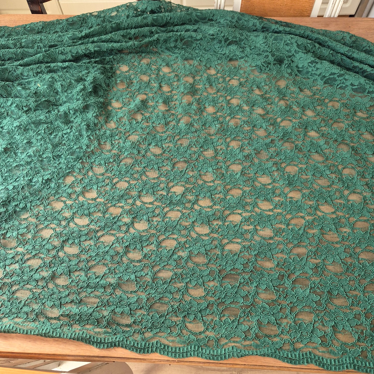 Vintage Grüner Spitzen Stoffrest 200x140cm Muster Transparent