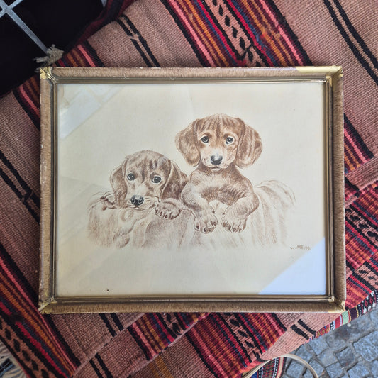 Antike Hundezeichnung von 1949 - Gerahmt hinter Glas nach Meyer Eberhardt Dackel Welpen