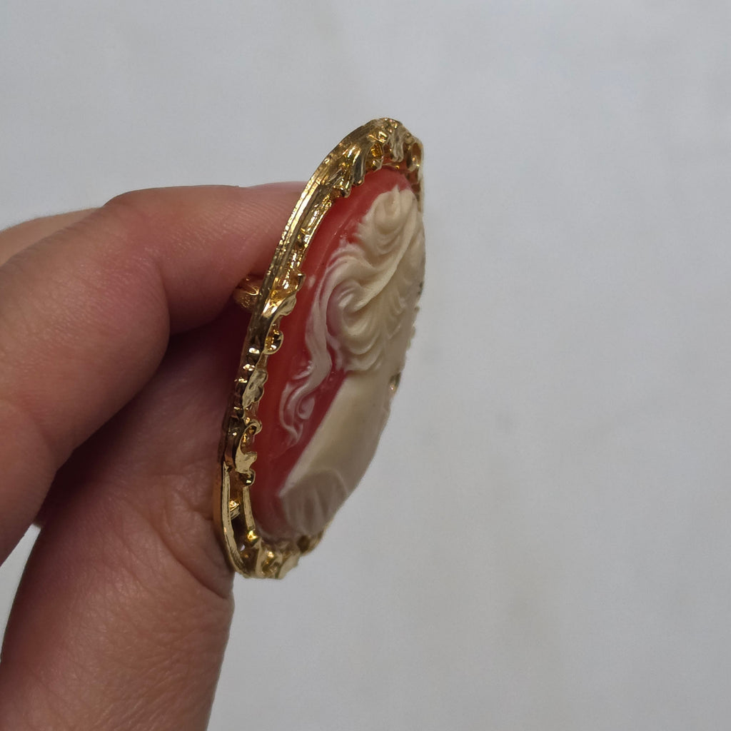 Elegante Vintage-Kamee-Brosche im Goldrahmen – Klassische Frauen-Silhouette auf rötlichem Hintergrund