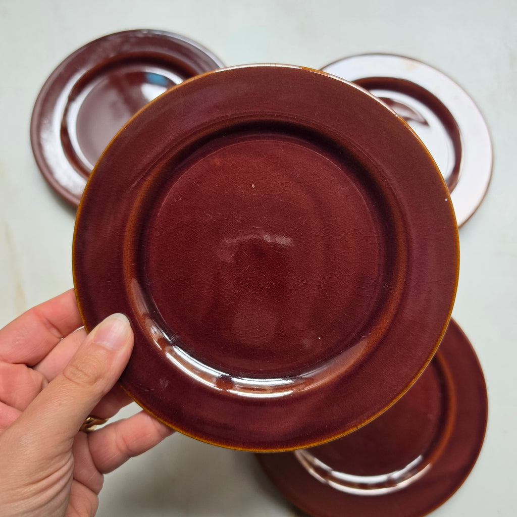 Vintage Keramik Teller in Warmem Kastanienbraun – CP Colditz (DDR, 70er Jahre)