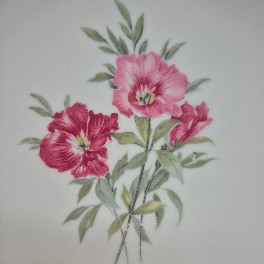 Bavaria Porzellan Tellerchen zum Servieren mit wunderschönem Blumenmuster