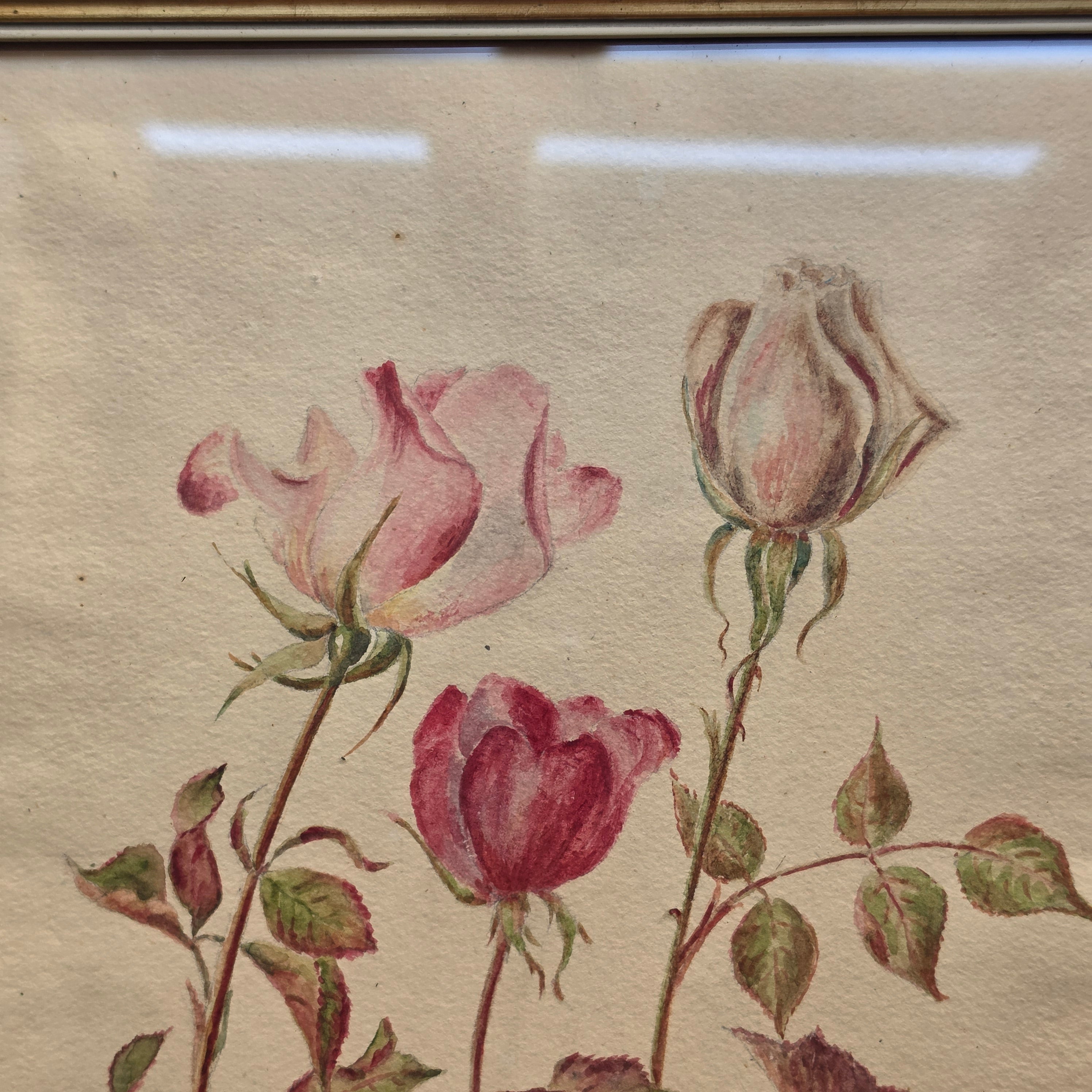 Vintage Rosen-Aquarell „A. Fischer“ (1948) im Goldrahmen