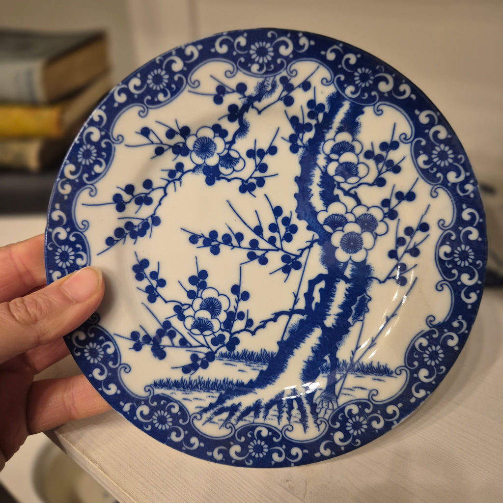 Japanisches 70er Jahre Vintage Gedeck Sammeltasse Kirschblüte hauchdünn