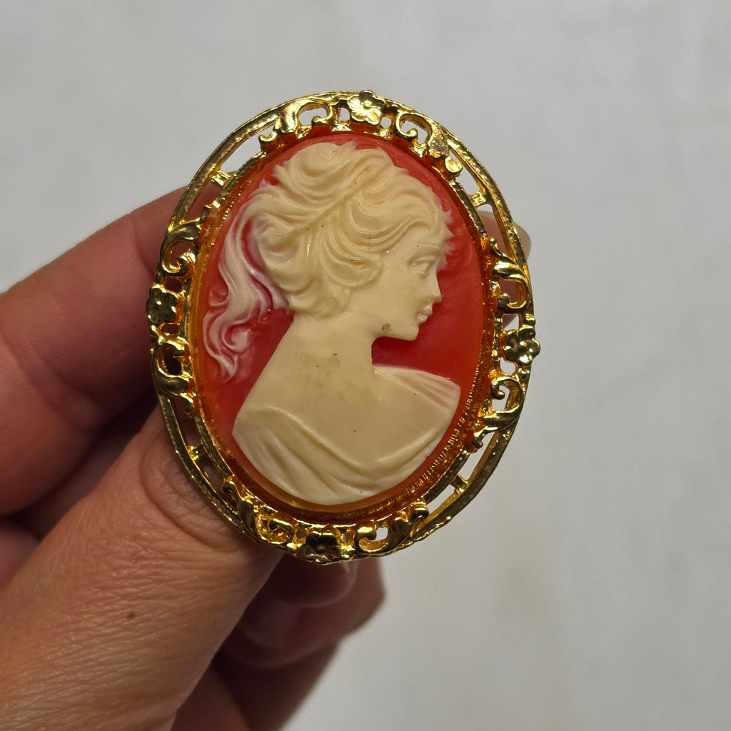 Elegante Vintage-Kamee-Brosche im Goldrahmen – Klassische Frauen-Silhouette auf rötlichem Hintergrund