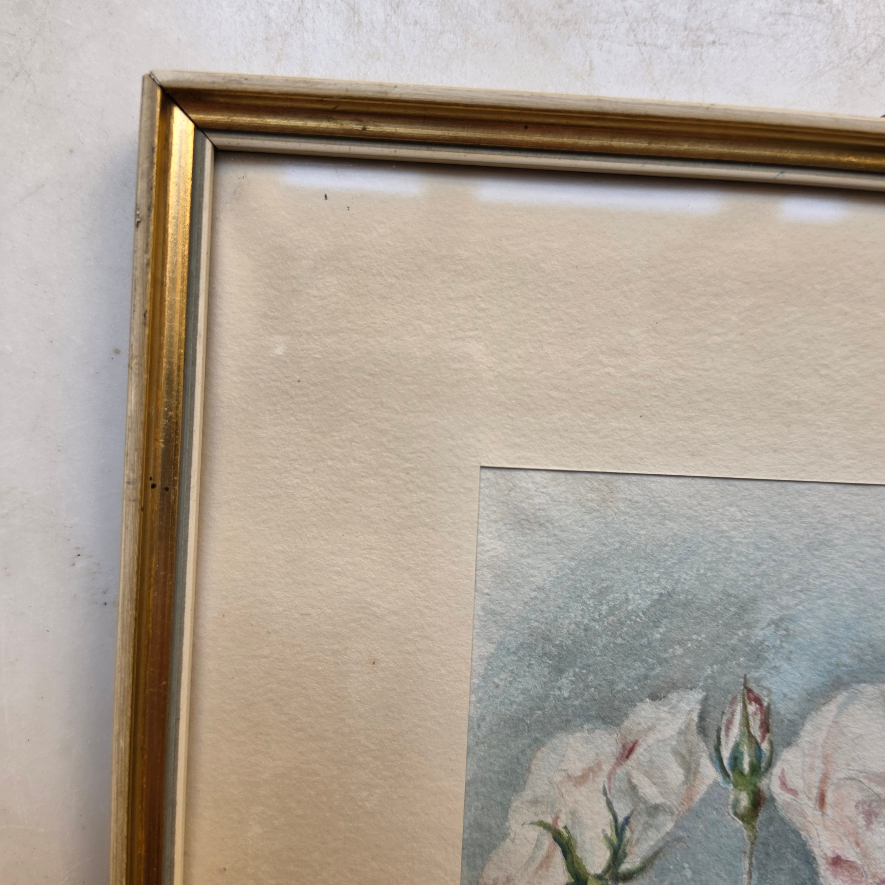 Vintage Rosen-Aquarell „A. Fischer“ (1948) im Goldrahmen
