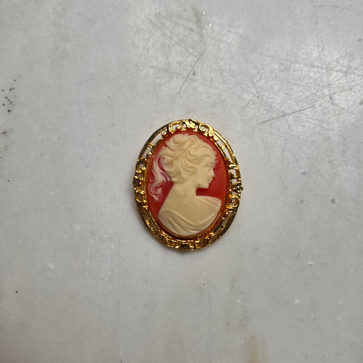 Elegante Vintage-Kamee-Brosche im Goldrahmen – Klassische Frauen-Silhouette auf rötlichem Hintergrund