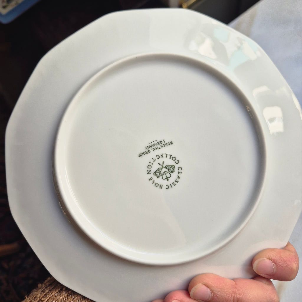 Classic Rose Collection Rosenthal - 70er Jahre - Monbijou - Jagdszenen "Hubertus" Porzellan Service
